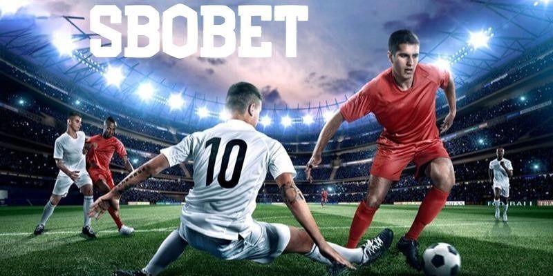 Các kèo cược phổ biến tại SBOBET Dafabet