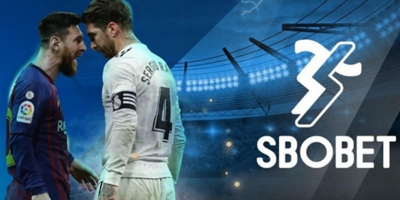 Vô vàn danh mục thể thao hot chờ bạn khám phá