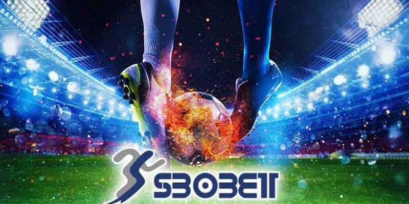 Đôi nét về sân chơi SBOBET Dafabet